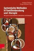 bokomslag Systemische Methoden in Familienberatung und -therapie
