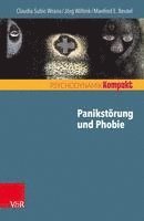 bokomslag Panikstorung Und Phobie