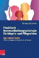 bokomslag Praxisbuch Kommunikation fur Adoptiv- und Pflegeeltern