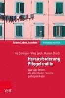 bokomslag Herausforderung Pflegefamilie