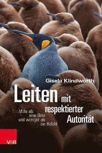 bokomslag Leiten mit respektierter Autorität