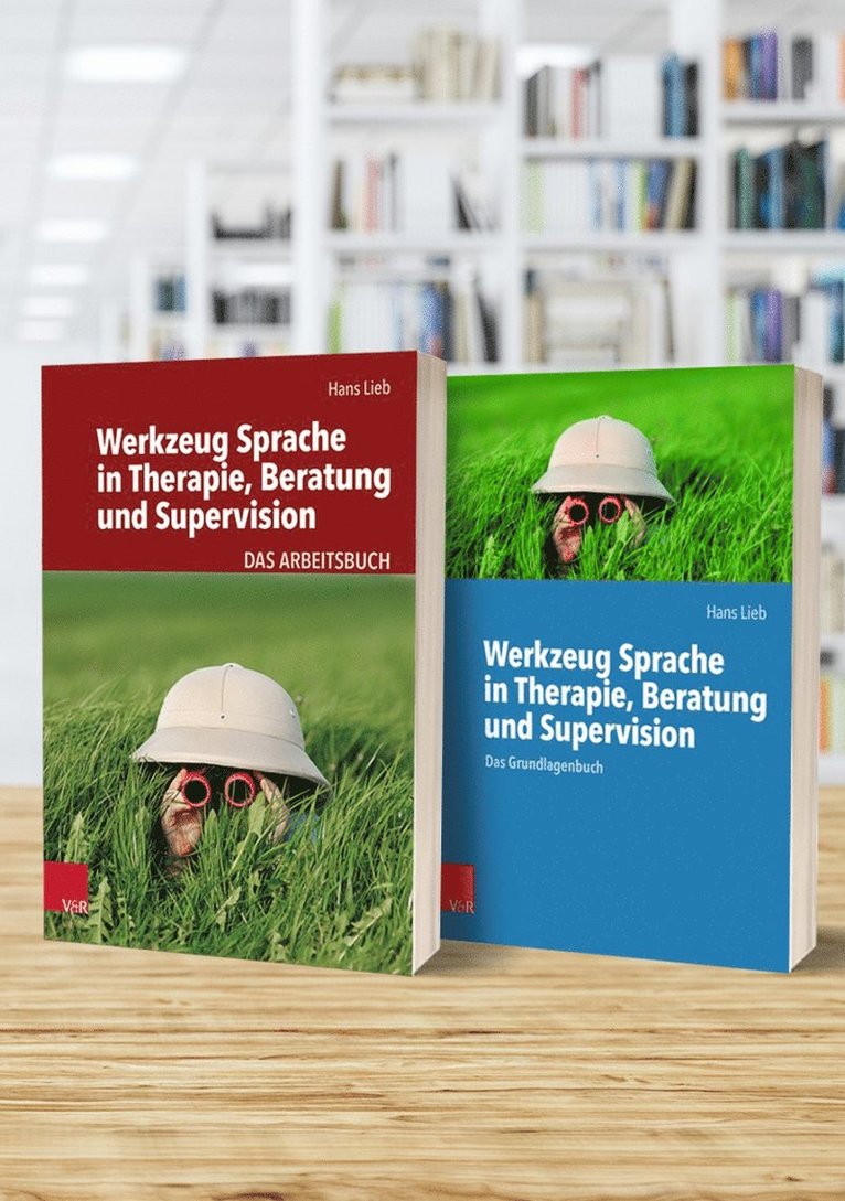 Werkzeug Sprache in Therapie, Beratung und Supervision