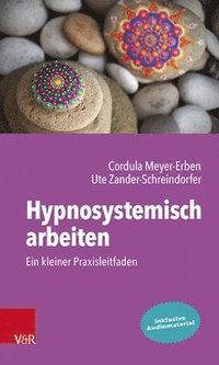 bokomslag Hypnosystemisch arbeiten