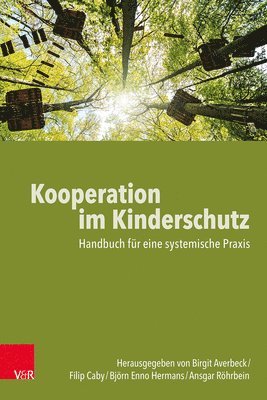 bokomslag Kooperation im Kinderschutz