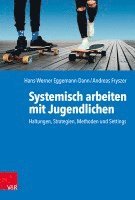 bokomslag Systemisch arbeiten mit Jugendlichen