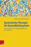 Systemische Therapie im Gesundheitssystem 1