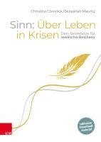 bokomslag Sinn: Über Leben in Krisen