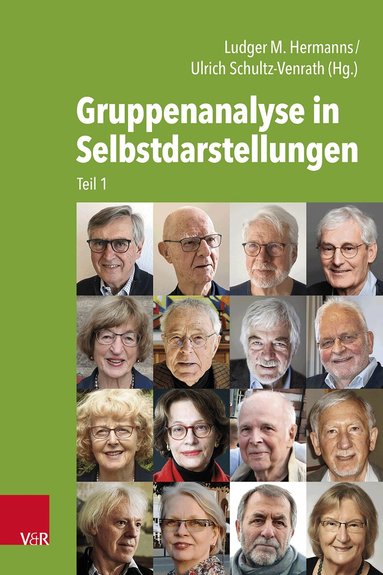 Ludger M. Hermanns, Ulrich Schultz-Venrath - Gruppenanalyse in Selbstdarstellungen, Häftad