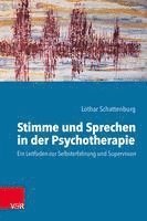 bokomslag Stimme und Sprechen in der Psychotherapie