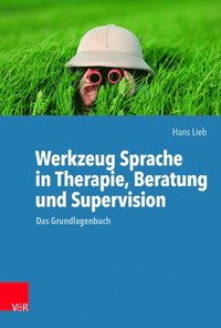 bokomslag Werkzeug Sprache in Therapie, Beratung und Supervision