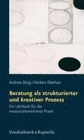 bokomslag Beratung Als Strukturierter Und Kreativer Prozess