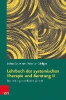 bokomslag Lehrbuch der systemischen Therapie und Beratung II