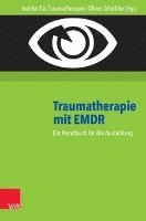 bokomslag Traumatherapie Mit Emdr: Ein Handbuch Fur Die Ausbildung. Hg.Inst.F.Traumatherapie/Schubbe