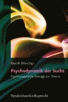 bokomslag Psychodynamik der Sucht: Psychoanalytische Beitrage Zur Theorie