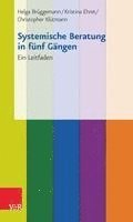 bokomslag Systemische Beratung in fünf Gängen