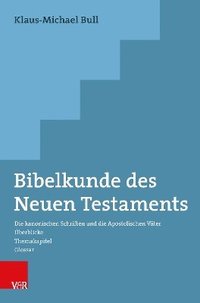 bokomslag Bibelkunde des Neuen Testaments