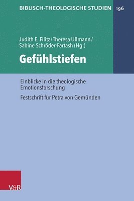 bokomslag Gefühlstiefen
