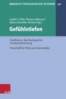 bokomslag Gefuhlstiefen: Einblicke in Die Theologische Emotionsforschung. Festschrift Fur Petra Von Gemunden