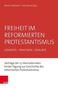 bokomslag Freiheit im reformierten Protestantismus