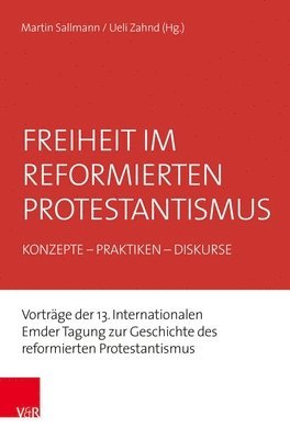 bokomslag Freiheit im reformierten Protestantismus