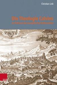 bokomslag Die Theologie Calvins im Rahmen der europischen Reformation