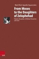 bokomslag From Moses to the Daughters of Zelophehad: Patristic Reception of Biblical Characters and Texts