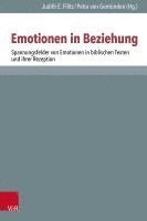 bokomslag Spannungsfelder Von Emotionen in Biblischen Texten Und Ihrer Rezeption