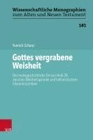 bokomslag Gottes Vergrabene Weisheit: Der Motivgeschichtliche Ort Von Hiob 28 Zwischen Weisheitsparodie Und Hellenistischem Erkenntnisstreben