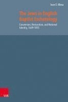 bokomslag The Jews in English Baptist Eschatology
