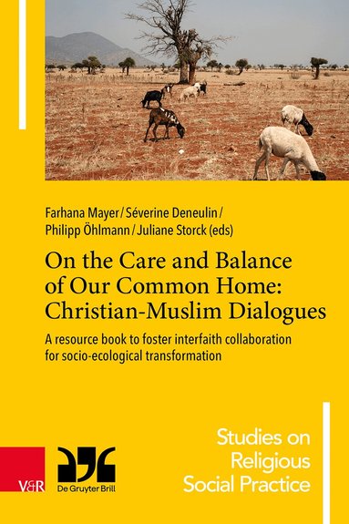 Farhana Mayer, Séverine Deneulin, Philipp Öhlmann, Juliane Stork - On the Care and Balance of Our Common Home: Christian-Muslim Dialogues, Inbunden