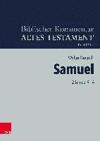 bokomslag 2 Samuel 9-14