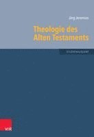 bokomslag Theologie Des Alten Testaments