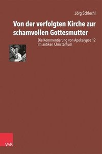 bokomslag Von der verfolgten Kirche zur schamvollen Gottesmutter