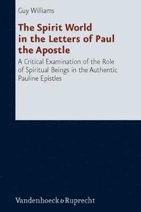bokomslag The Spirit World in the Letters of Paul the Apostle