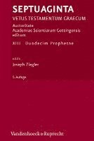 Septuaginta. Band 13: Duodecim Prophetae