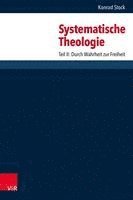 bokomslag Systematische Theologie