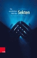 bokomslag Die wunderbare Welt der Sekten