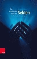 bokomslag Die Wunderbare Welt Der Sekten: Von Paulus Bis Scientology