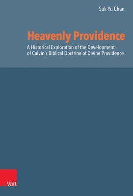 bokomslag Heavenly Providence
