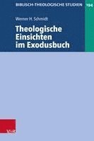 bokomslag Theologische Einsichten im Exodusbuch