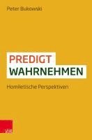 bokomslag Predigt wahrnehmen