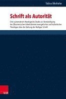 bokomslag Schrift ALS Autoritat: Eine Systematisch-Theologische Studie Zur Verstandigung Des Okumenischen Arbeitskreises Evangelischer Und Katholischer Theologe