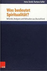 bokomslag Was bedeutet Spiritualitt?