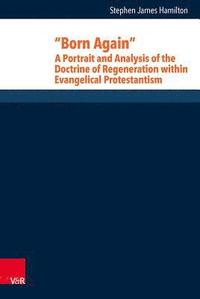 bokomslag Born Again: A Portrait and Analysis of the Doctrine of Regeneration within Evangelical Protestantism