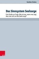 bokomslag Das Sinnsystem Seelsorge: Eine Studie Zur Frage: Wer Tut Was, Wenn Man Sagt, Dass Man Sich Um Die Seele Sorgt?