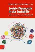 Rita Hansjürgens, Frank Schulte-Derne - Soziale Diagnostik in der Suchthilfe, Häftad