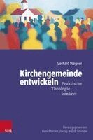 Gerhard Wegner - Kirchengemeinde entwickeln, Häftad