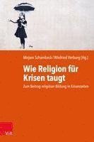 bokomslag Wie Religion für Krisen taugt