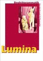 Ursula Blank-Sangmeister - Lumina Begleitgrammatik, Inbunden