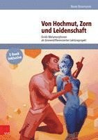 bokomslag Von Hochmut, Zorn Und Leidenschaft: Ovids Metamorphosen ALS Binnendifferenziertes Lektureprojekt